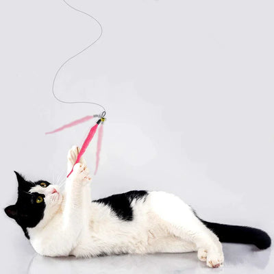 Cat playing with plush worm toy on stick, interactive feather accessory for feline entertainment.