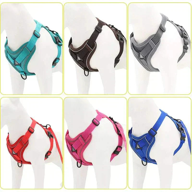 Adjustable reflective mesh dog harness and leash set in various colors for small dogs and cats.