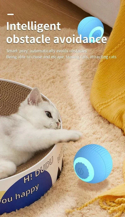 Rechargeable smart rolling ball toy for pets with intelligent obstacle avoidance feature, shown with a playful cat.