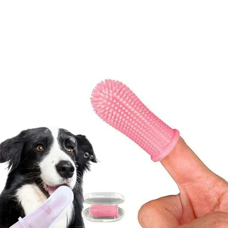 2pcs Pet Dog Tooth Cleaner Kit – Stainless Steel Tartar Removers & Oral Care Tools for Dogs