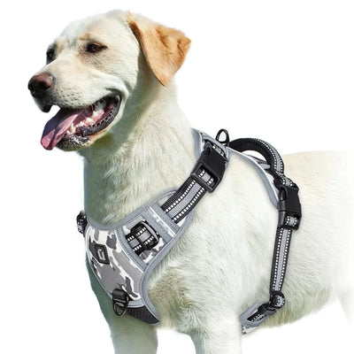 Adjustable no-pull dog harness with soft padding and control handle.