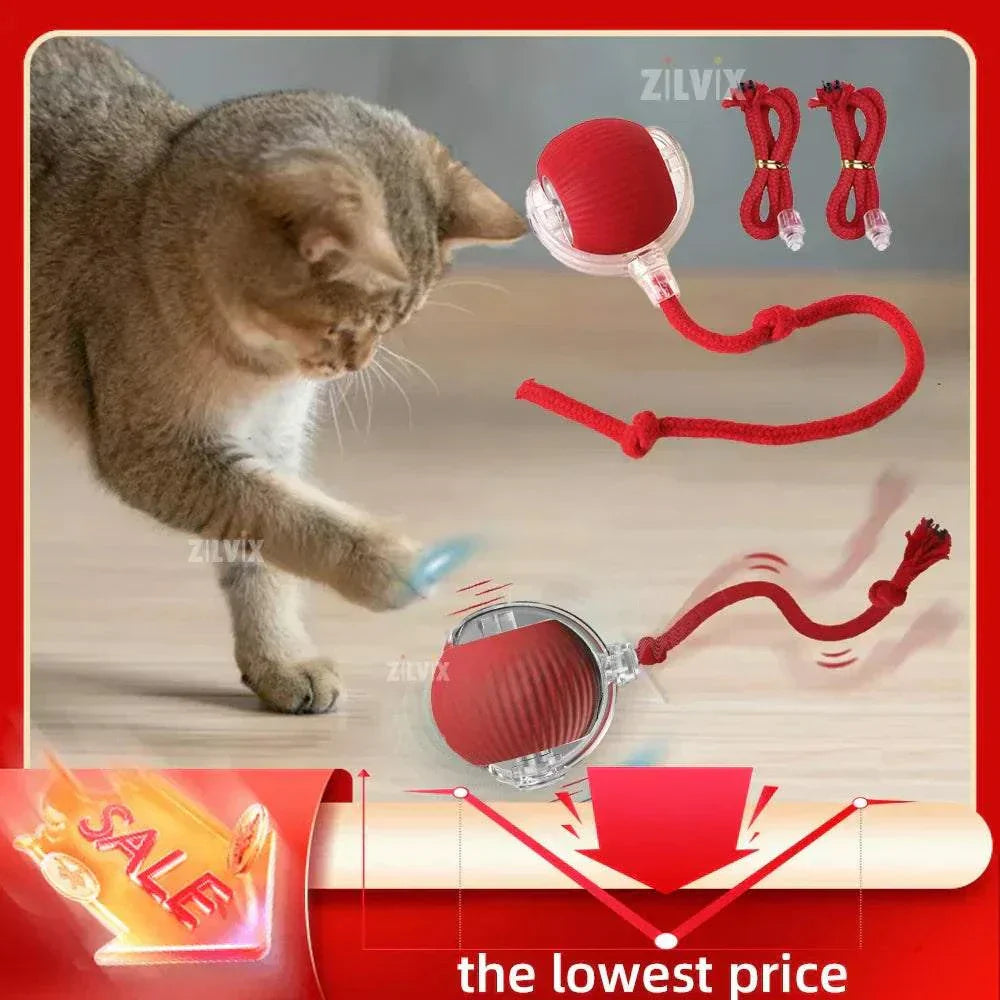 Cat playing with rechargeable smart rolling ball toy, featuring automated and interactive functions, for pet exercise and entertainment. cat ball toy