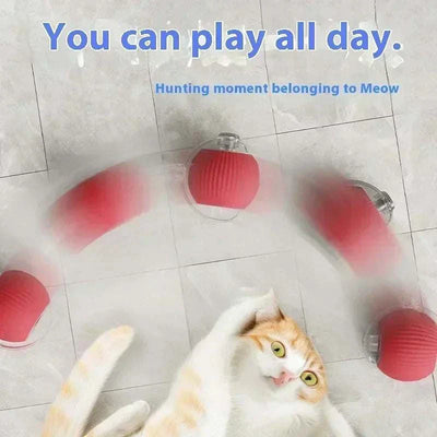 Cat playing with a rechargeable smart rolling ball toy. cat ball toy