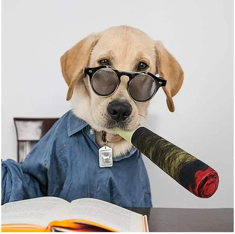 Interactive squeaky dog toy in green, orange, and white held by a dog wearing glasses.