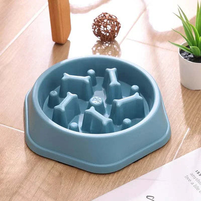 Slow feeder bowl for small and medium dogs, blue plastic design. cat slow feeder