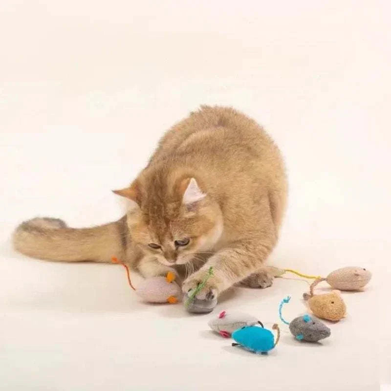 Cat playing with 3Pcs plush simulation mouse toys.