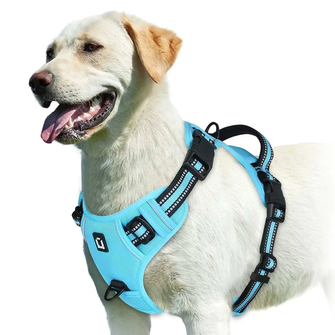 No pull dog harness, adjustable soft padded vest with easy control handle in blue, reflective and breakaway features for adult dogs. soft padded dog harness