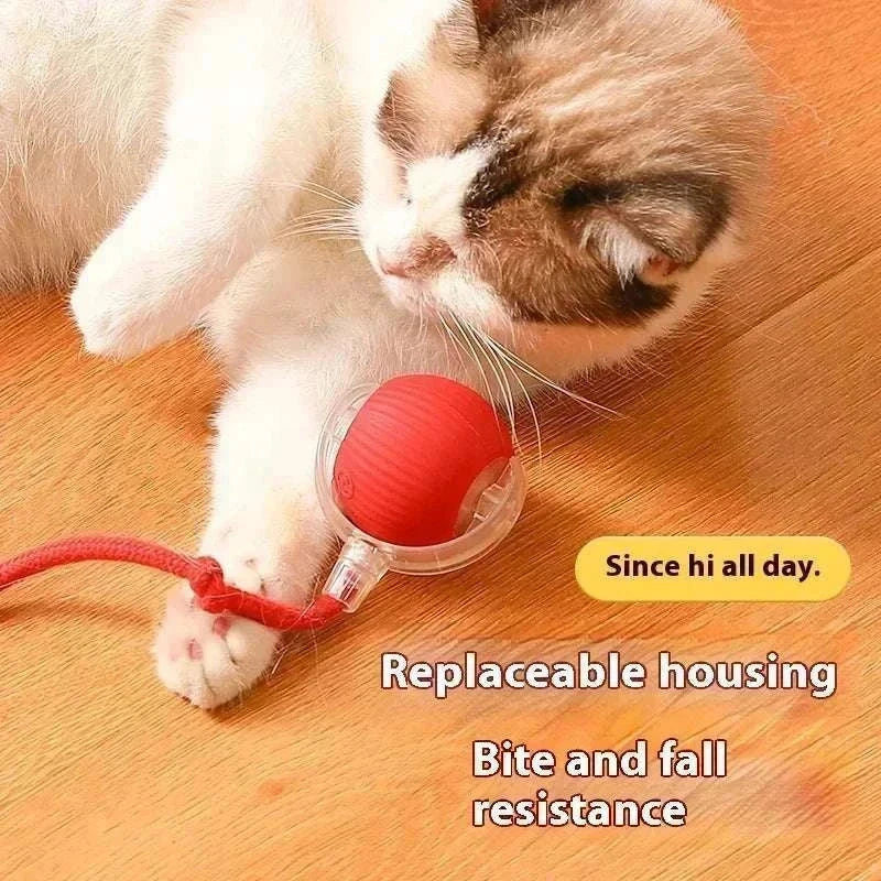 Rechargeable smart rolling ball toy for pets with replaceable housing and bite resistance, interactive playtime for cats. cat ball toy