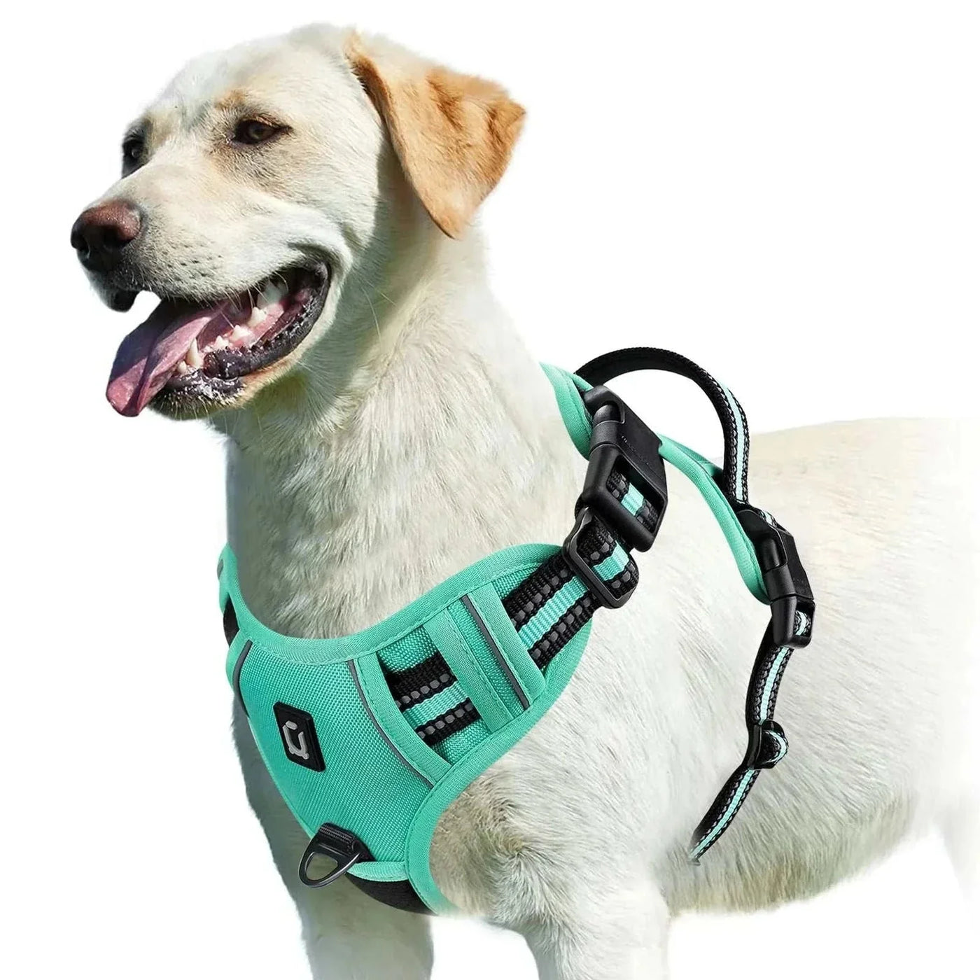 Adjustable no pull dog harness with soft padded vest and easy control handle, ideal for adult dogs.