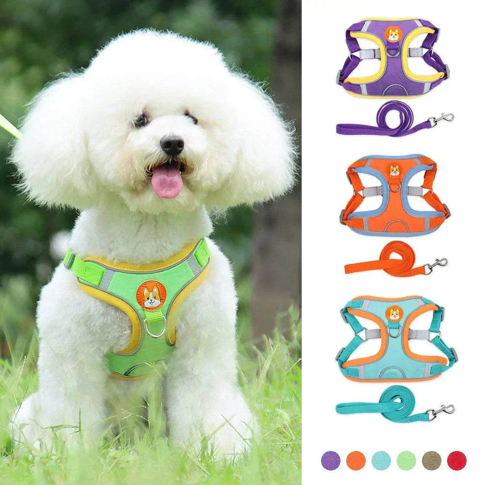 No-pull dog harness & leash set with adjustable reflective vest for small dogs and cats. no-pull dogs harness and leash