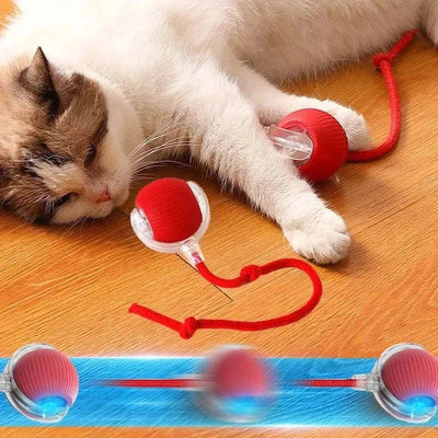 Cat playing with rechargeable smart rolling ball toy with long tail, made of ABS material, for interactive pet exercise. cat ball toy