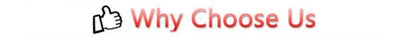 Thumbs up icon and text that says "Why Choose Us".